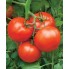 Томат Бобкат F1 (syngenta)