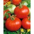 Томат Бобкат F1 (syngenta)